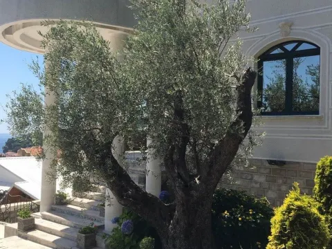 Prodaja, kuća, 560m², Petrovac, Budva