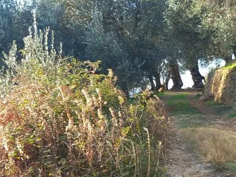 Sale, land lot, 5000m², Ulcinj, Crna Gora - image 2