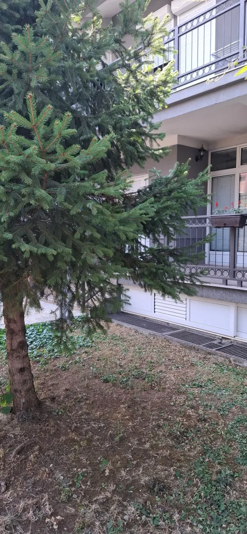 Pogled na dvorište i fasadu zgrade sa zelenilom.