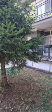 Pogled na dvorište i fasadu zgrade sa zelenilom. - image 19