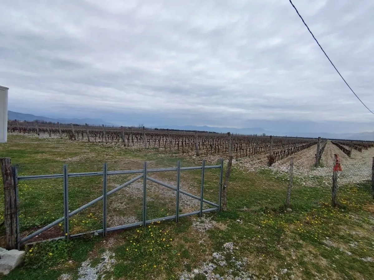 Prodaja, plac, 15000m², Podgorica, Crna Gora