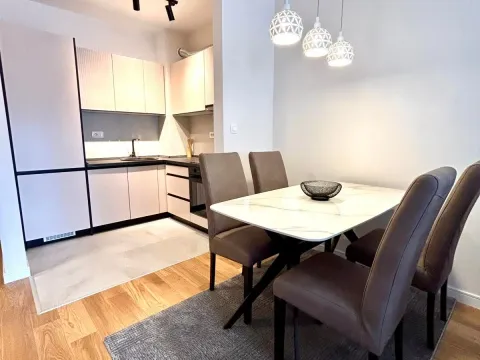 Izdavanje, jednosoban stan, 42m², Central Point, Podgorica - image 2