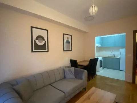 Izdavanje, jednosoban stan, 56m², City Kvart, Podgorica - image 8