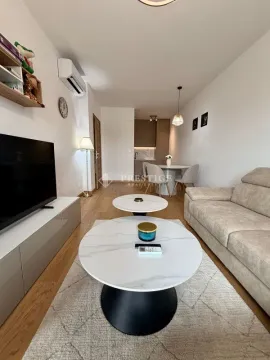 Rent, one bedroom apartment, 46m², City Kvart, Podgorica - image 3