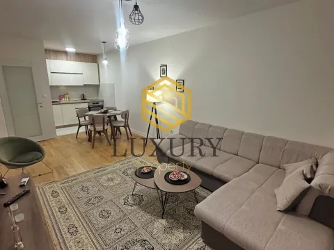 Izdavanje, jednosoban stan, 50m², Central Point, Podgorica - image 1