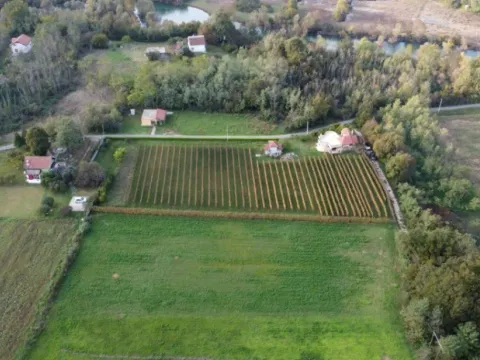 Prodaja, kuća, 120m², Zagorak, Danilovgrad - image 4