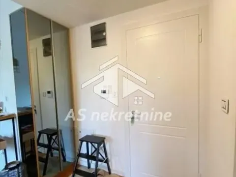 Izdavanje, dvosoban stan, 41m², Savski Venac, Beograd - image 17
