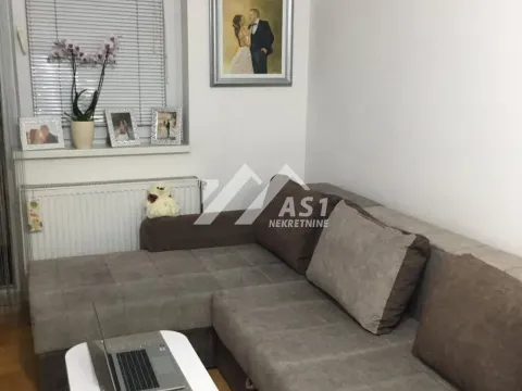 Izdavanje, stan, 25m², Nova Detelinara, Novi Sad Sve Podlokacije - image 3