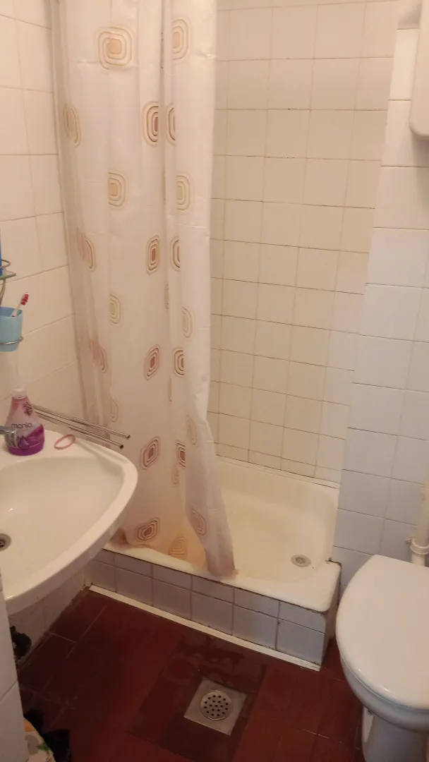 Manje kupatilo sa tuš kabinom, umivaonikom i toaletom.