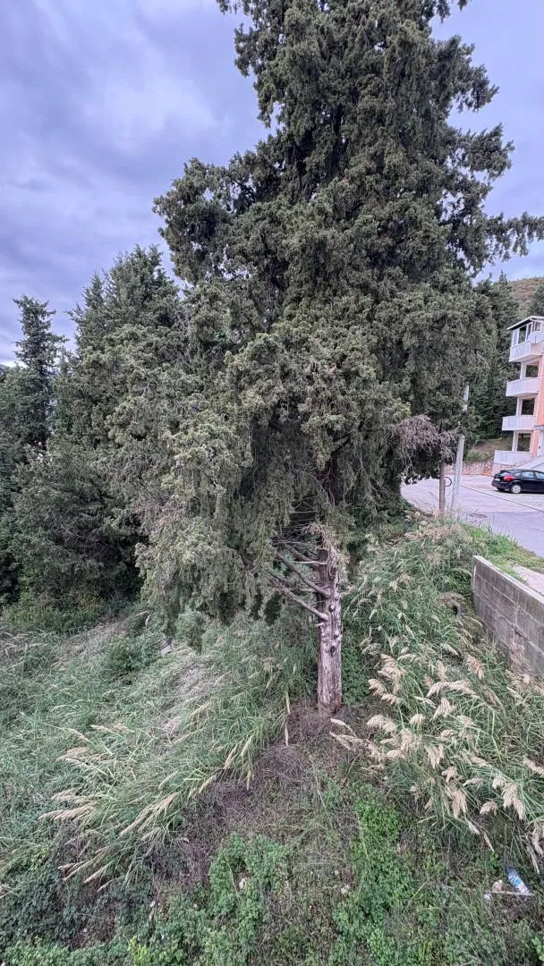 Prodaja, plac, 542m², Donja Lastva, Tivat
