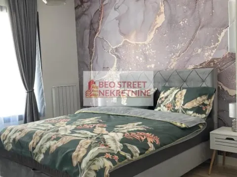 Izdavanje, dvosoban stan, 50m², Savski Venac, Beograd - image 8