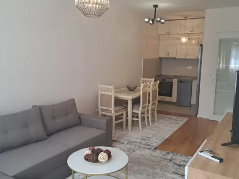 Izdavanje, jednosoban stan, 46m², Podgorica, Crna Gora - image 9