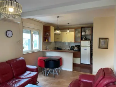 Izdavanje, jednosoban stan, 50m², Stari Aerodrom, Podgorica - image 7