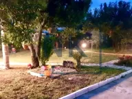 Izdavanje, kuća, 55m², Tološi, Podgorica - image 7