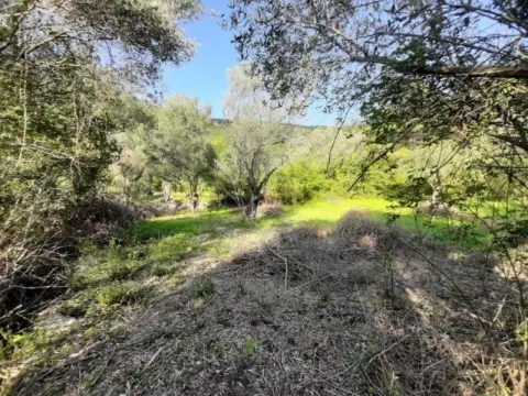 Sale, land lot, 350m², Kavač, Kotor - image 4