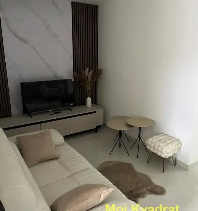 Izdavanje, dvosoban stan, 46m², Palilula Sve Podlokacije, Beograd