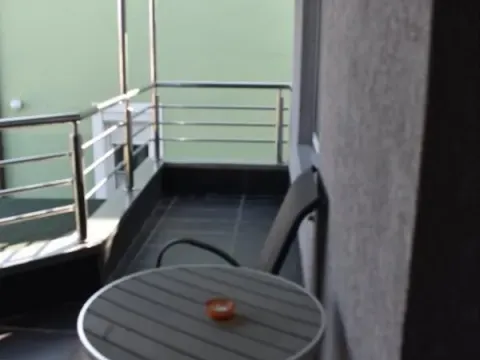 Izdavanje, kuća, 300m², Petrovaradin, Novi Sad - image 6