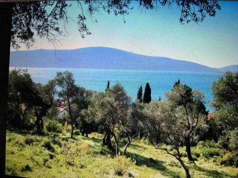 Prodaja, plac, 255m², Tivat, Crna Gora - image 5