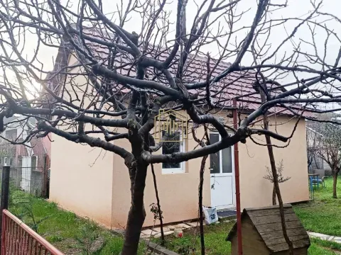 Rent, apartment, 33m², Stari Aerodrom, Podgorica - image 2