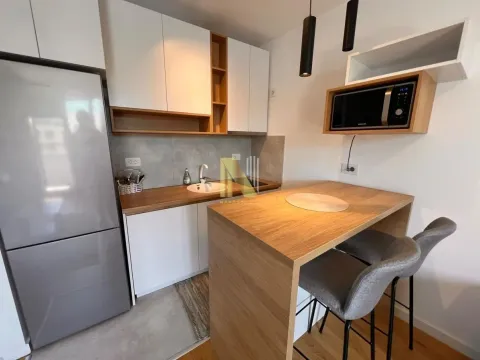 Izdavanje, jednosoban stan, 30m², Centar, Novi Sad - image 4