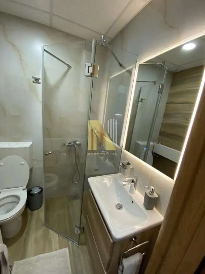 Izdavanje, dvosoban stan, 50m², Centar, Novi Sad