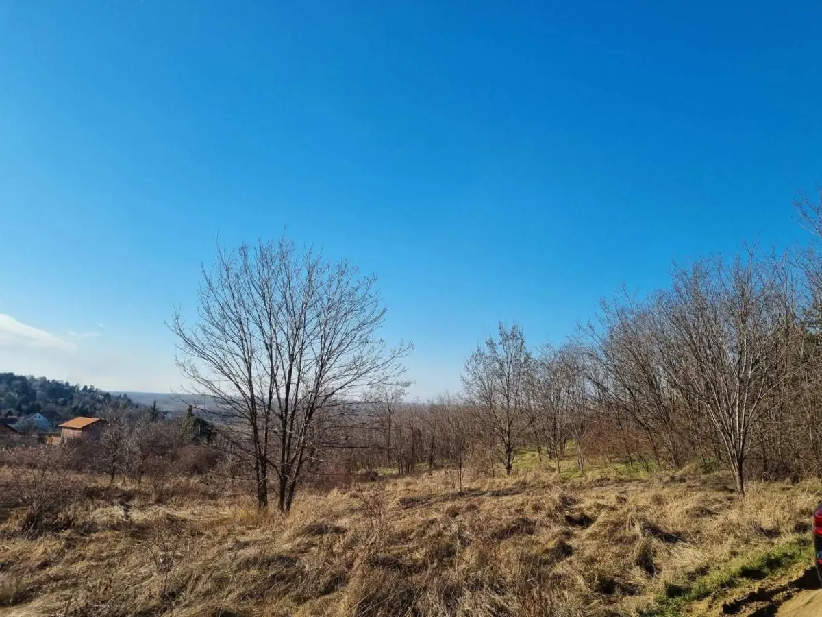Prodaja, plac, 4952m², Ledinci, Petrovaradin