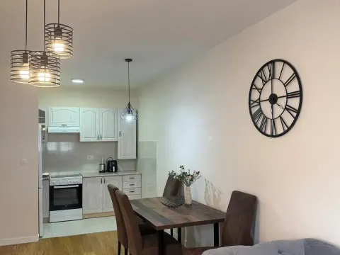 Rent, one bedroom apartment, 50m², Central Point, Podgorica - image 3