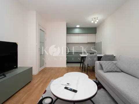 Rent, one bedroom apartment, 41m², Zabjelo, Podgorica - image 2