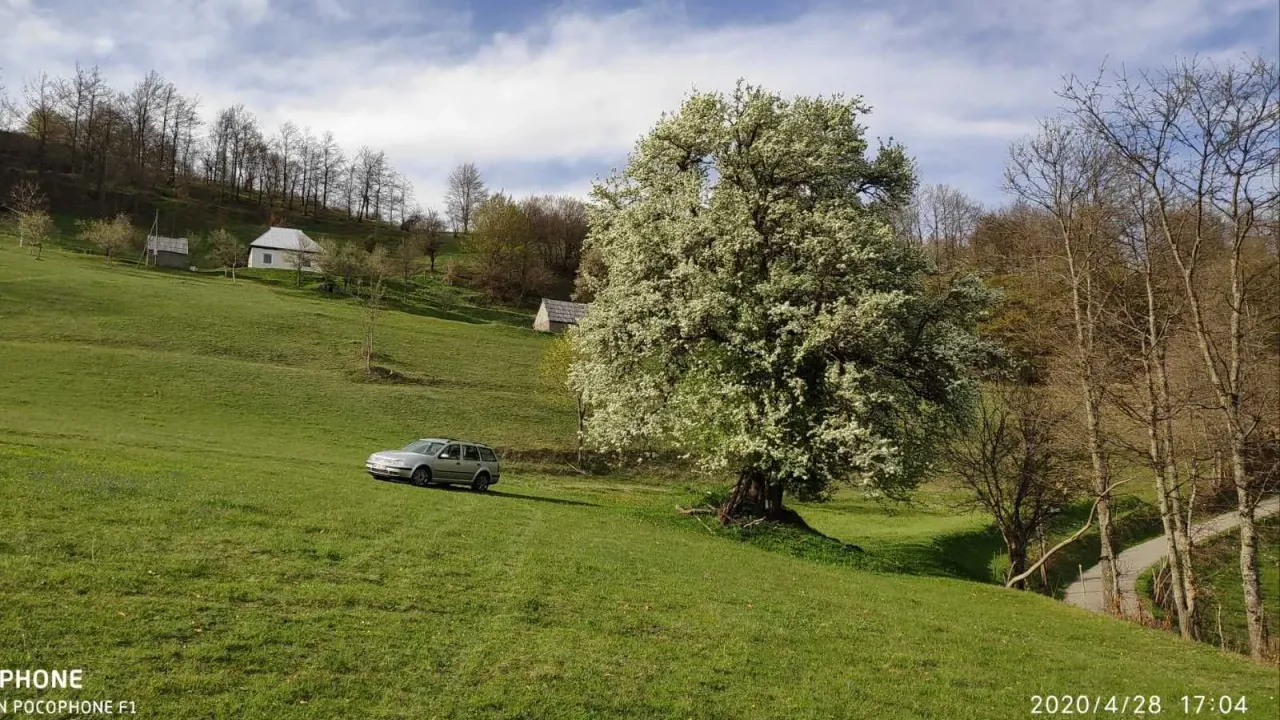 Sale, land lot, 30905m², Mojkovac, Crna Gora