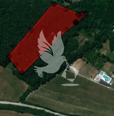 Prodaja, plac, 8100m², Kosmaj, Sopot