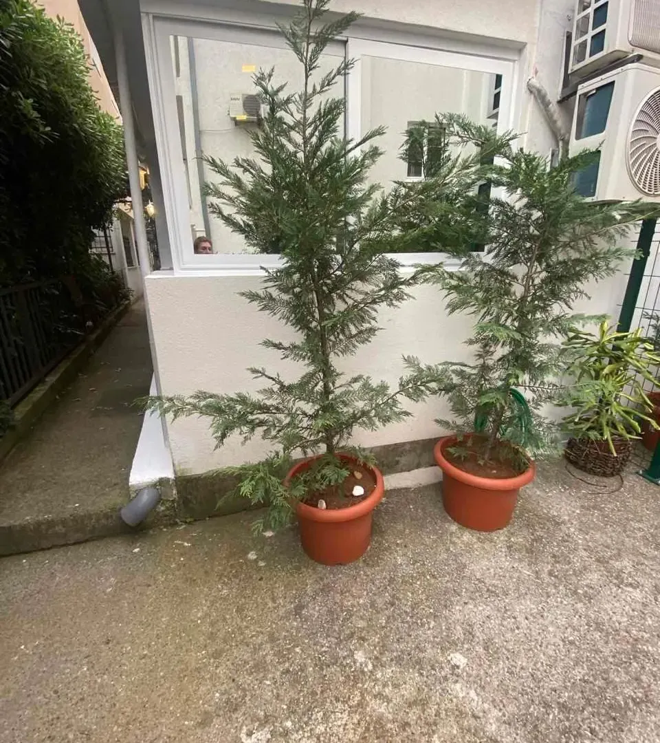 Izdavanje, stan, 32m², Budva, Crna Gora