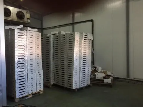 Rent, office space, 1500m², Šimanovci, Pećinci - image 13