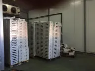 Izdavanje, poslovni prostor, 1500m², Šimanovci, Pećinci - image 13