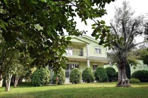 View of the green house with a yard and trees. - image 3
