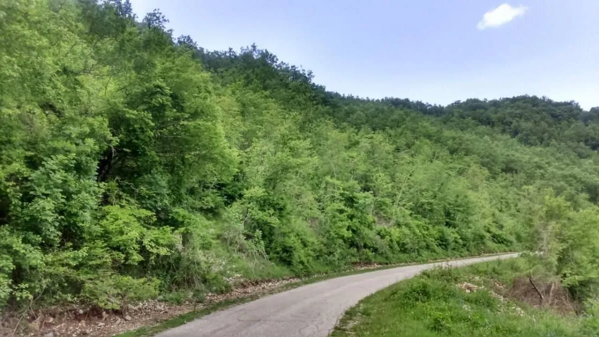 Prodaja, plac, 21800m², Grahovo, Nikšić