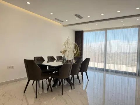 Prodaja, kuća, 173m², Sremska Kamenica, Petrovaradin - image 4