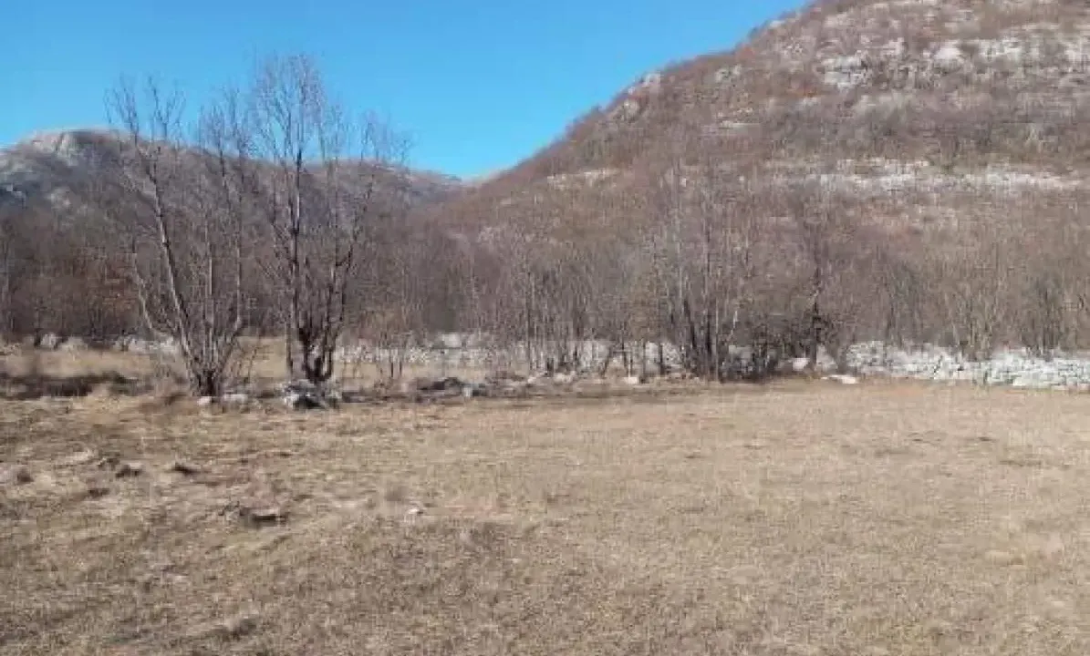 Prodaja, plac, 2000m², Herceg Novi, Crna Gora