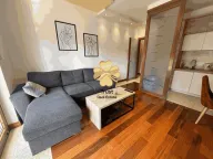 Izdavanje, dvosoban stan, 65m², Centar, Podgorica - image 1