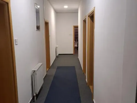 Izdavanje, poslovni prostor, 330m², Socijalno, Novi Sad Sve Podlokacije - image 17