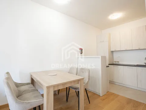 Rent, one bedroom apartment, 46m², New City, Podgorica - image 3