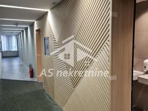 Izdavanje, poslovni prostor, 300m², Stari Grad, Beograd - image 20