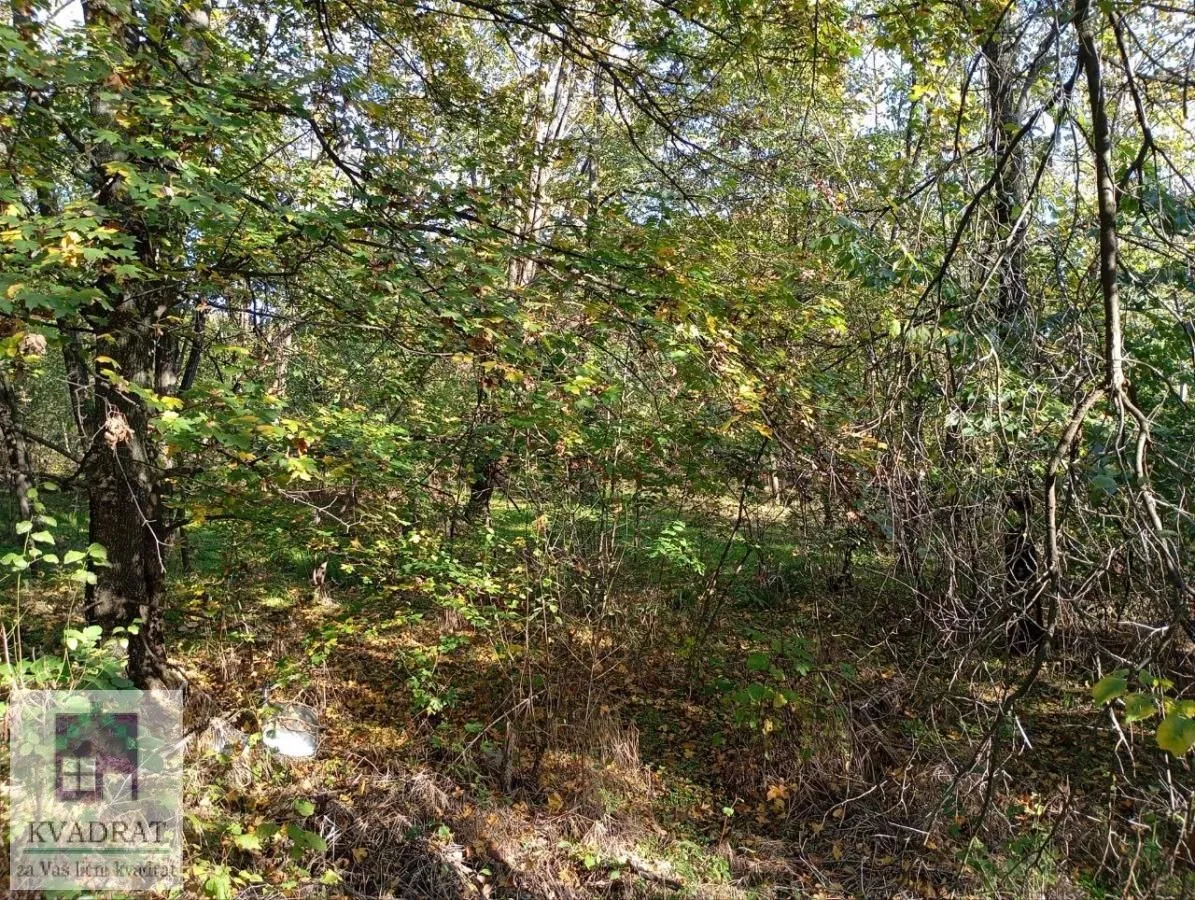 Prodaja, plac, 3800m², Obrenovac, Beograd