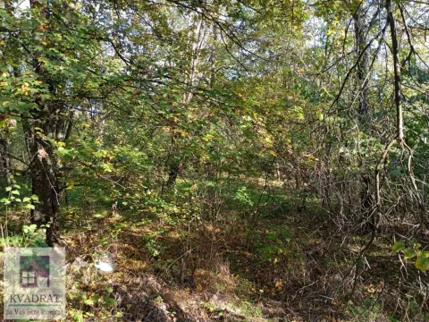 Prodaja, plac, 3800m², Obrenovac, Beograd - image 7