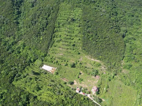 Prodaja, plac, 83000m², Radanovići, Kotor - image 4