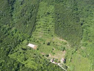 Prodaja,  zemljište, 83000m2, Radanovići, Kotor