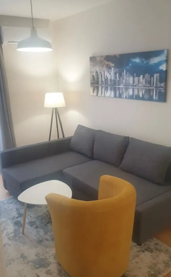 Rent, one bedroom apartment, 43m², Central Point, Podgorica