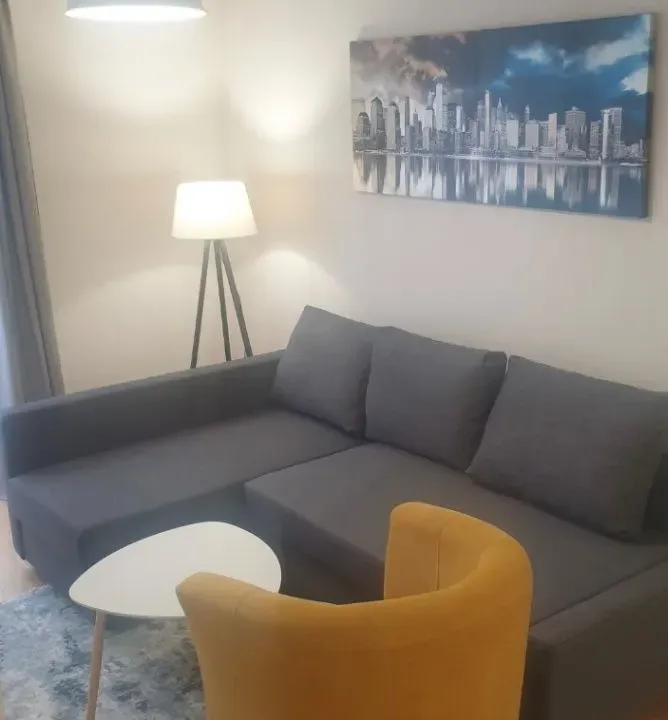 Izdavanje, jednosoban stan, 43m², Central Point, Podgorica