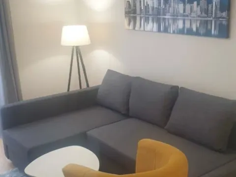 Rent, one bedroom apartment, 43m², Central Point, Podgorica