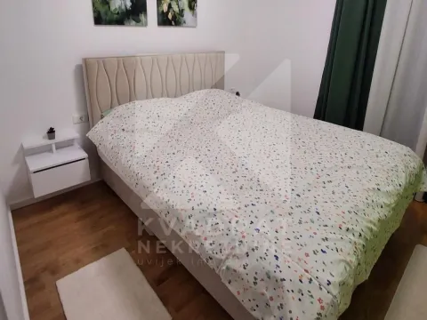 Rent, one bedroom apartment, 44m², Tološi, Podgorica - image 4