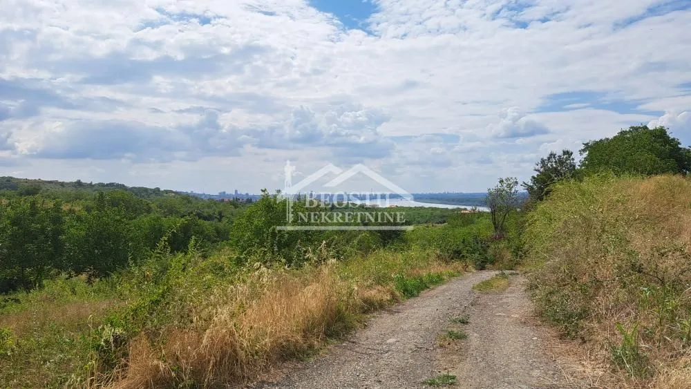 Prodaja, plac, 800m², Višnjica, Palilula Sve Podlokacije